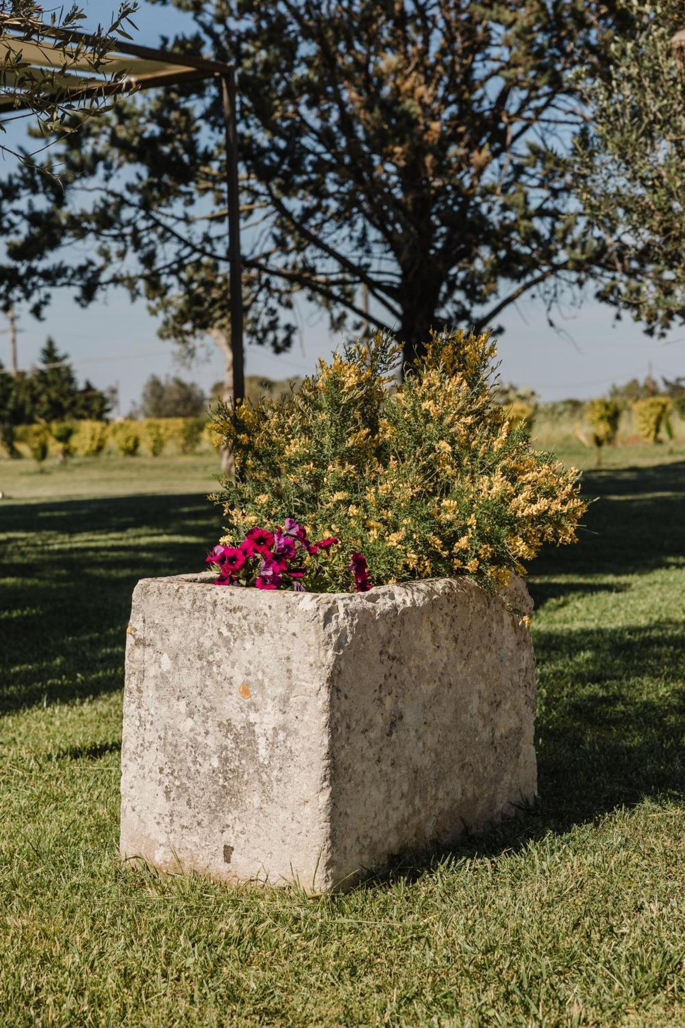 Gli Ulivi Di Gino Sanarica Exterior foto